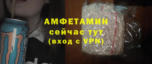 прущий лед Бикин