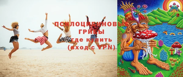 PSILOCYBIN Билибино