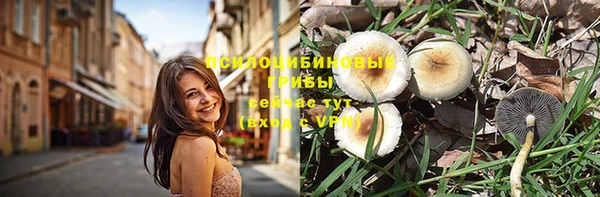 PSILOCYBIN Красноперекопск