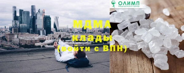 индика Кинешма
