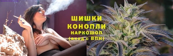 PSILOCYBIN Красноперекопск