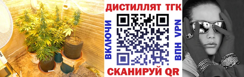 ТГК вейп с тгк сайты даркнета как зайти Кыштым как найти закладки