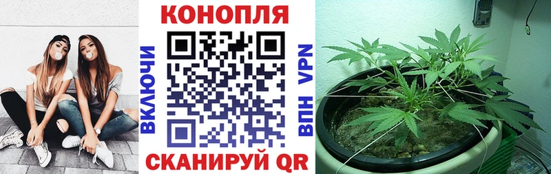 магазин продажи наркотиков  Кыштым  Марихуана OG Kush 